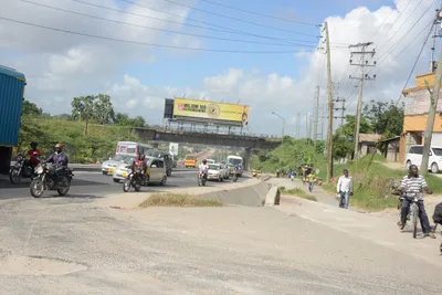 DSC_7554 (Large).JPG